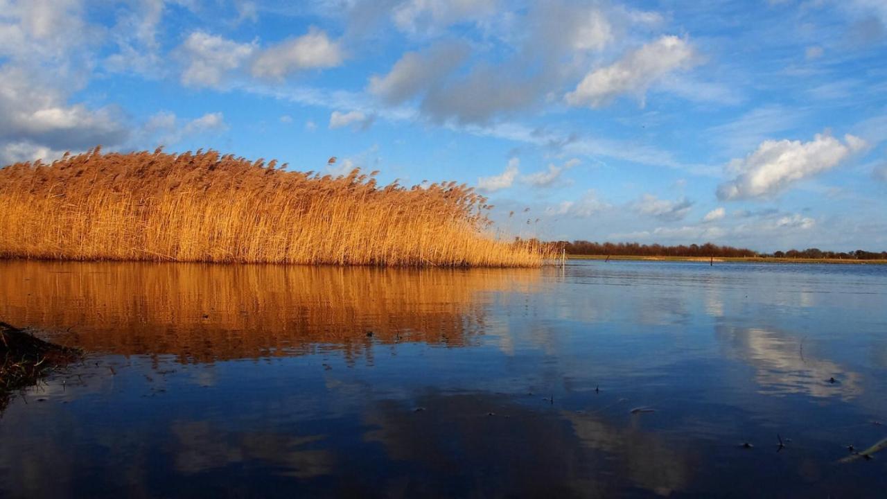 Emilias Hüs, Reethaus in der Bucht von Wismar Zierow Exterior foto