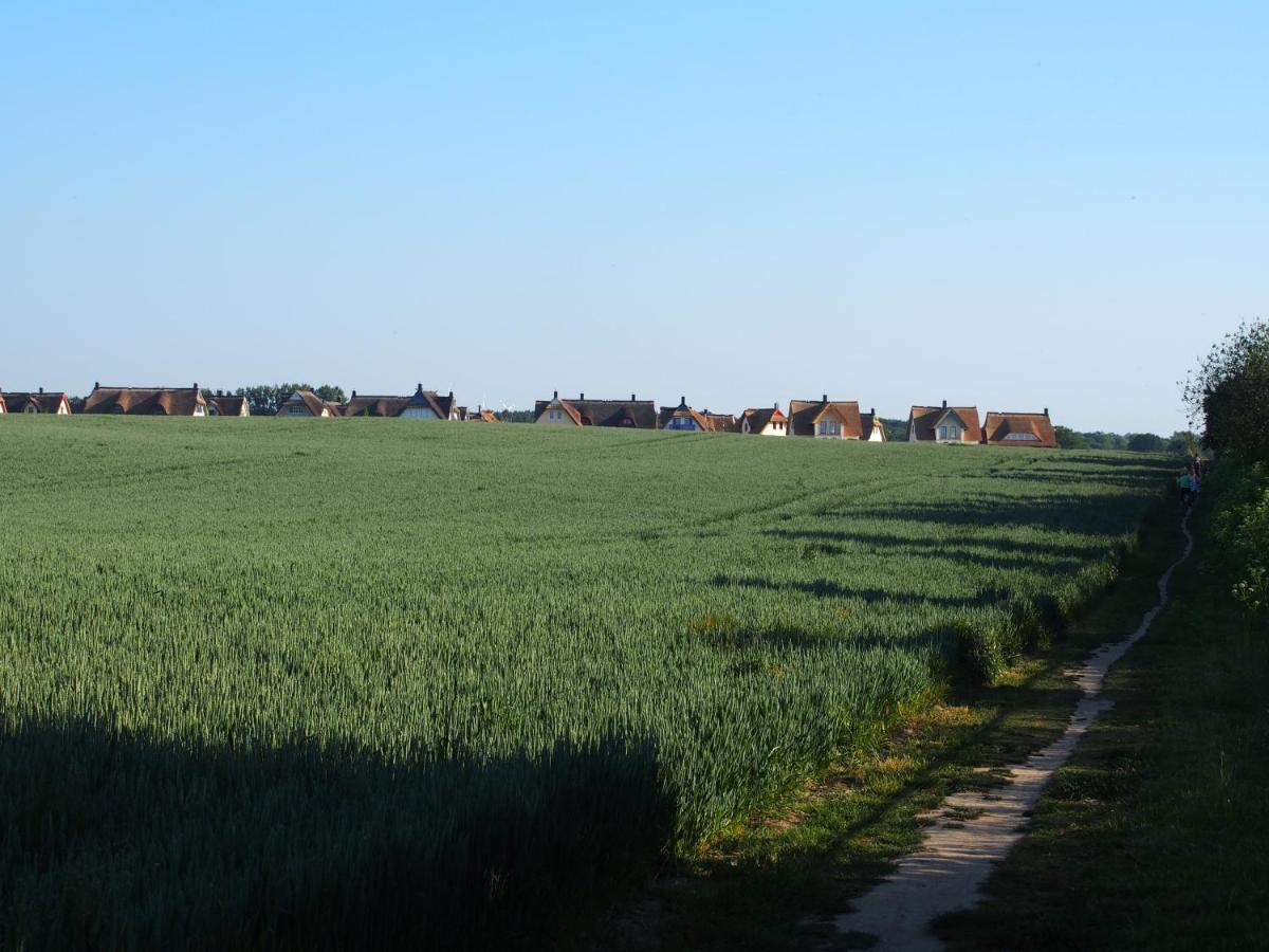 Emilias Hüs, Reethaus in der Bucht von Wismar Zierow Exterior foto