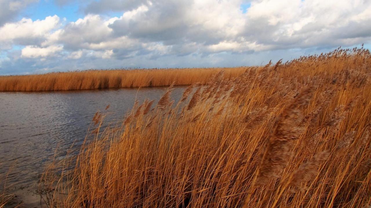 Emilias Hüs, Reethaus in der Bucht von Wismar Zierow Exterior foto