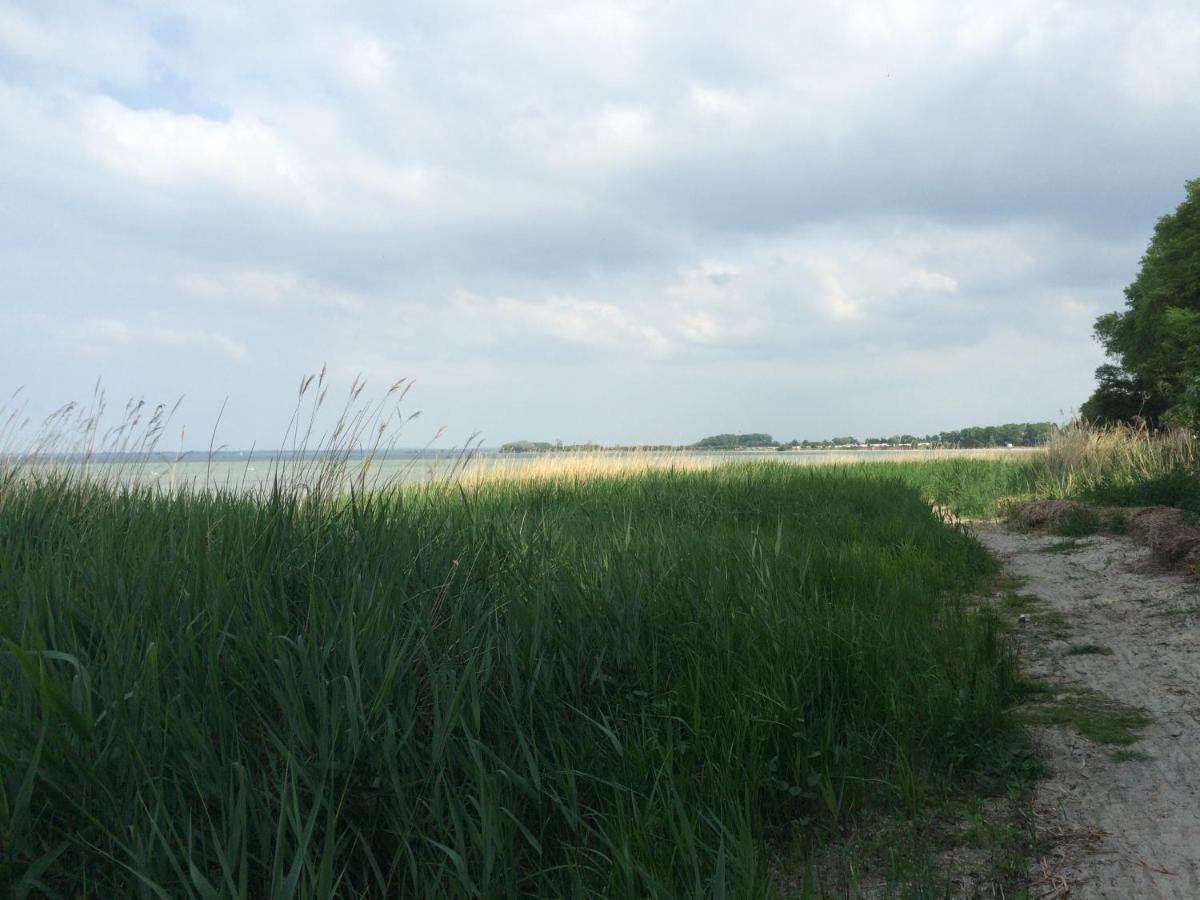 Emilias Hüs, Reethaus in der Bucht von Wismar Zierow Exterior foto